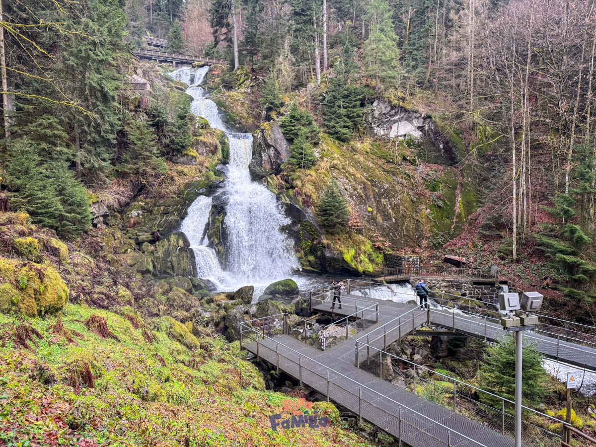 Cascades de Triberg envoltades de bosc a la Selva Negra