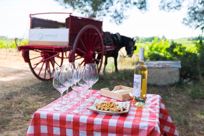 actividades_niños_familia_tarragona