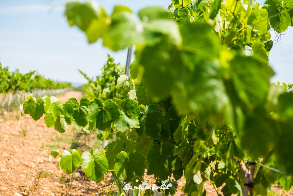 actividades con niños en Tarragona