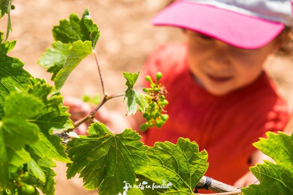 actividades con niños en Tarragona