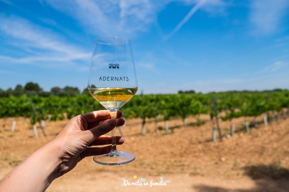 actividades con niños en Tarragona