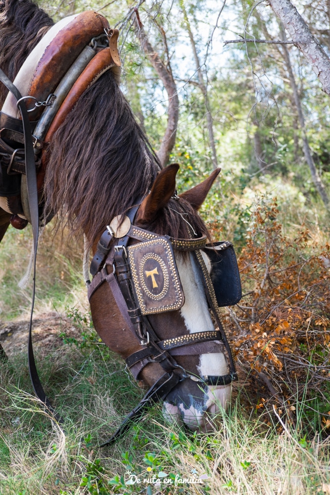 actividades con niños en Tarragona