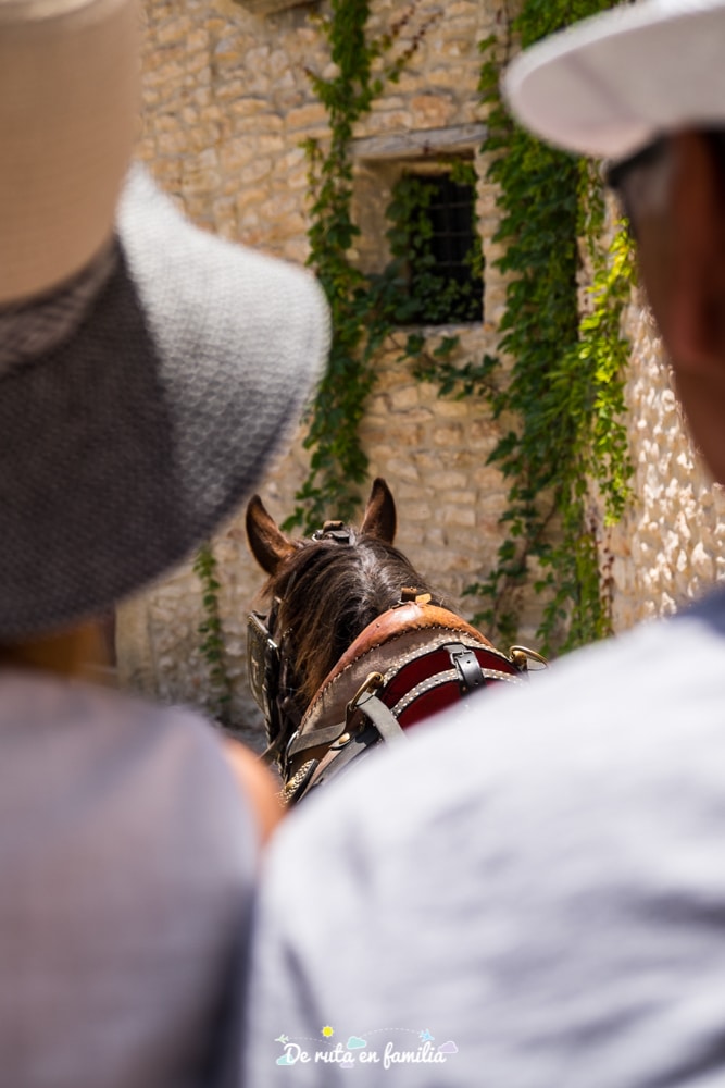 actividades con niños en Tarragona
