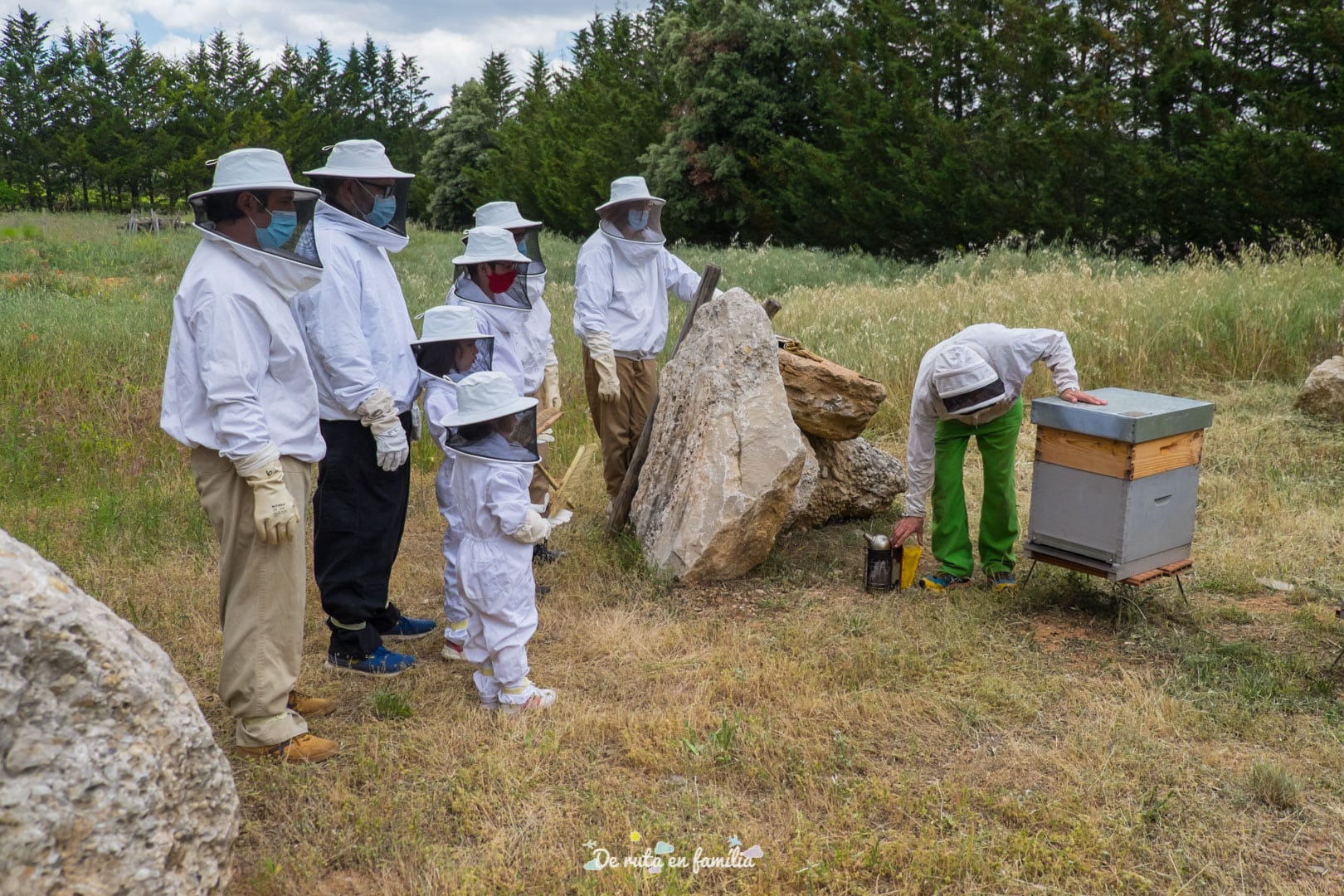 Cultura ecològica per a famílies - El món de les abelles Activitat El món de les abelles de Drac Actiu