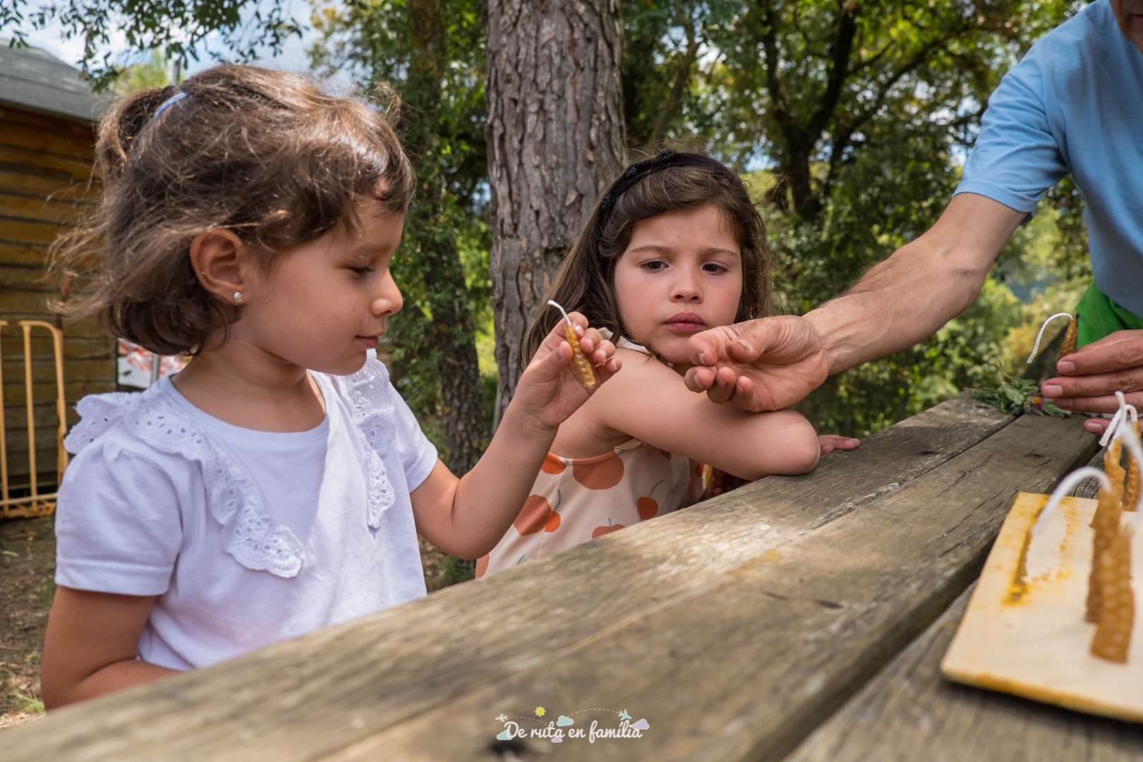Cultura ecològica per a famílies - El món de les abelles Activitat El món de les abelles de Drac Actiu