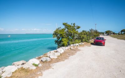 Todo lo que debes saber antes de alquilar un coche en Florida (y nadie te cuenta)
