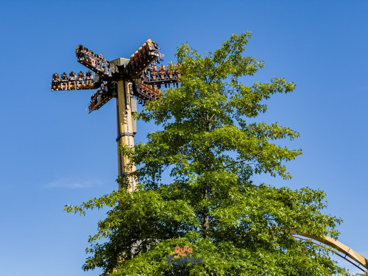 atraccion_de_caida_liseberg_derutaenfamilia Atracción de caída en Liseberg elevándose sobre los árboles