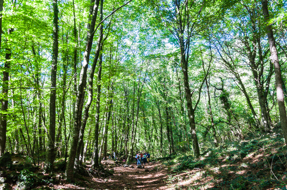 escapada_garrotxa escapada a la garrotxa
