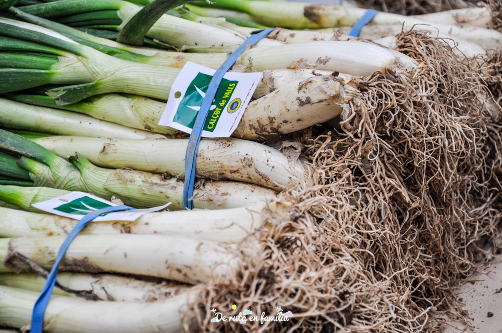 Gran Festa de la Calçotada de Valls
