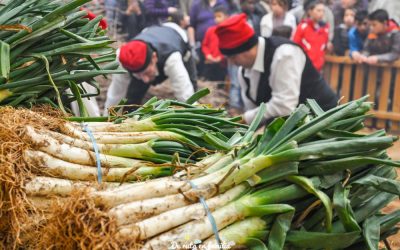 Guia per gaudir al màxim de la Gran Festa de la Calçotada de Valls