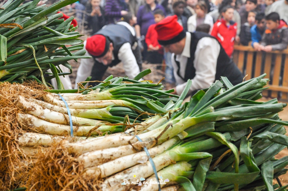 fiesta_calçotada_valls-11