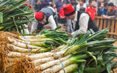 Guía para disfrutar al máximo de la Gran Festa de la Calçotada de Valls