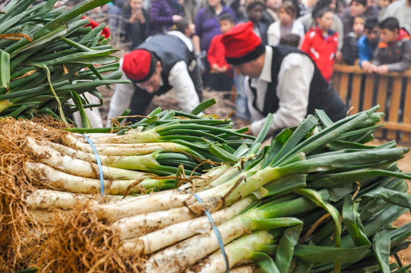Guía para disfrutar al máximo de la Gran Festa de la Calçotada de Valls