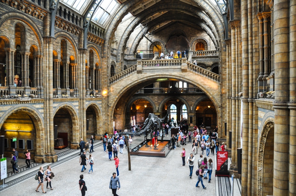 museo_historia_natural_londres Museo de Historia Natural de Londres