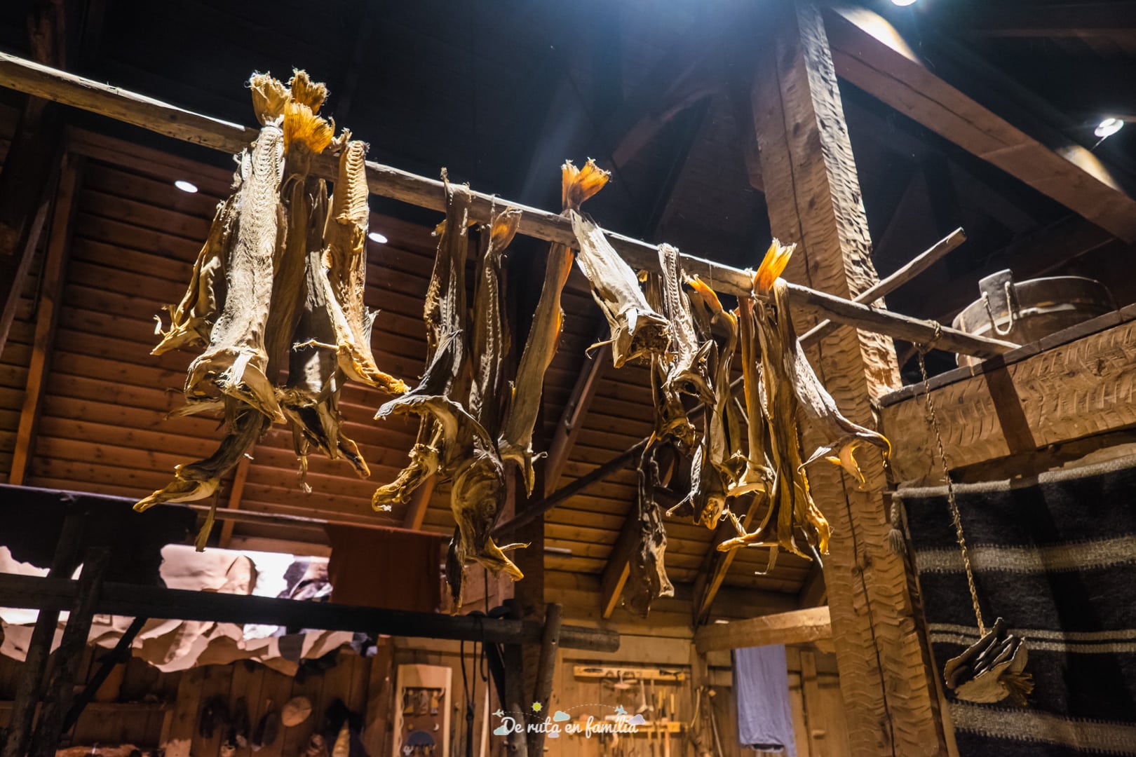 organitzar un viatge a les illes lofoten