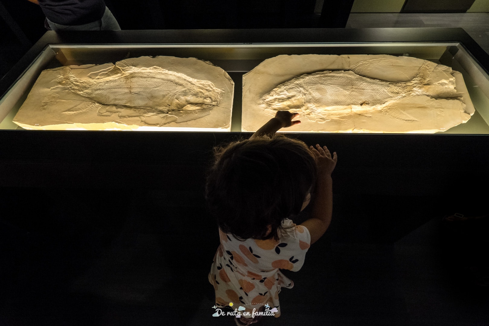 Activitat per fer amb nens al Museu d’Alcover