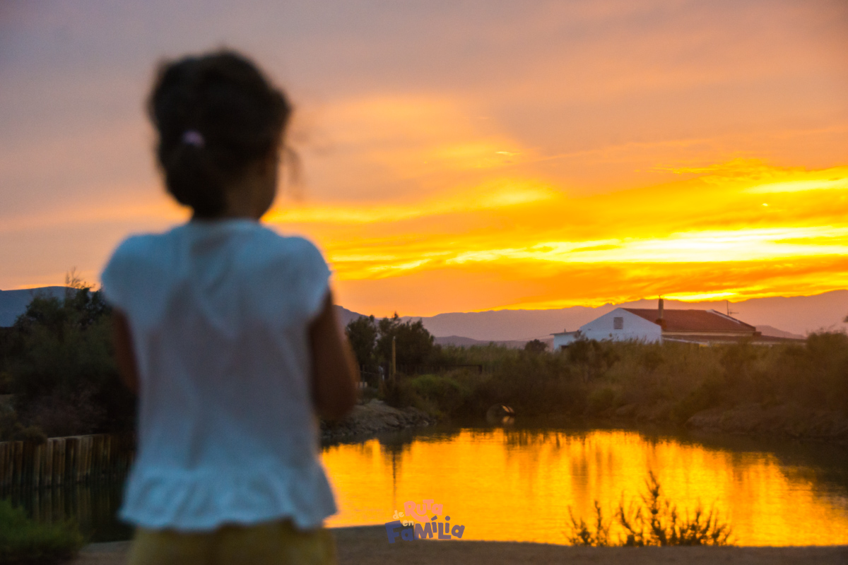 posta-sol-delta-ebre-amb-nens_derutaenfamilia Nena contemplant una posta de sol reflectida a l’aigua al Delta de l’Ebre