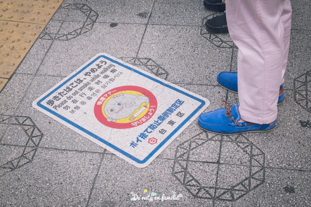 antes de viajar a Japón