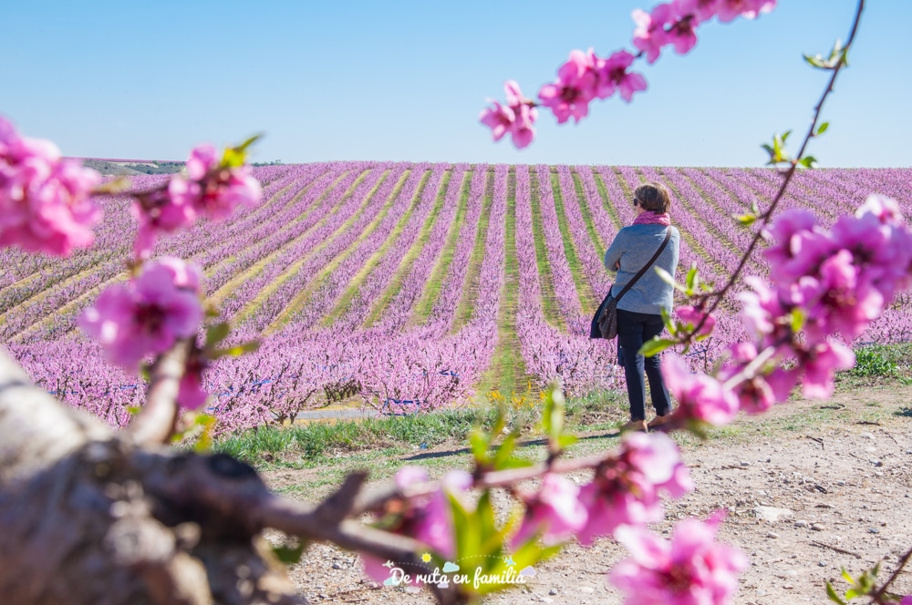 ruta de la flor del melocotonero en Aitona con Fruiturisme