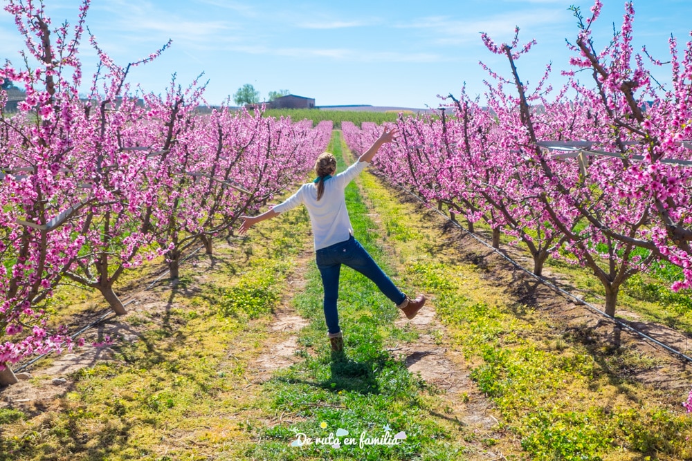 ruta de la flor del melocotonero por el Segrià por libre
