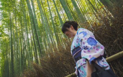 Cómo ir hasta el famoso bosque de bambú de Arashiyama de Kyoto