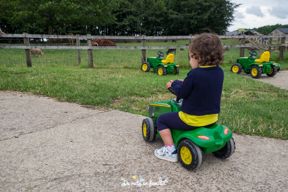 visitar cotswolds farm park amb nens