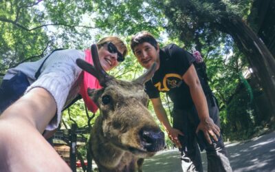 Qué ver en Nara en una excursión de medio día desde Kioto u Osaka