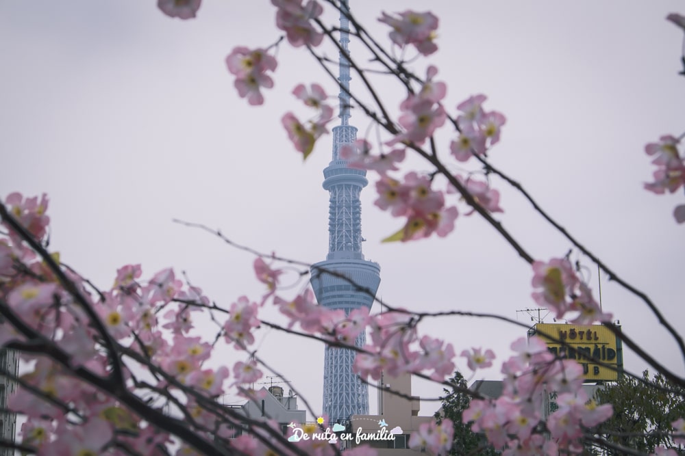 visita tokyo. Barrio de Asakusa