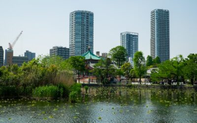 Los barrios de Tokio (I). Recorriendo el distrito de Ueno