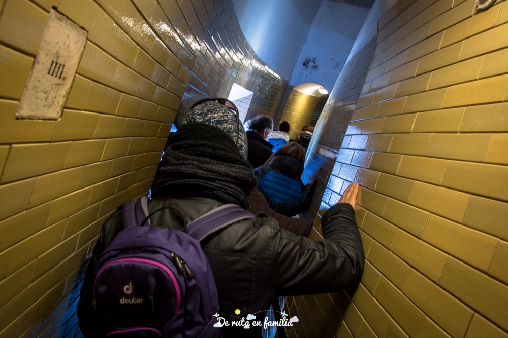 cúpula san pedro del vaticano